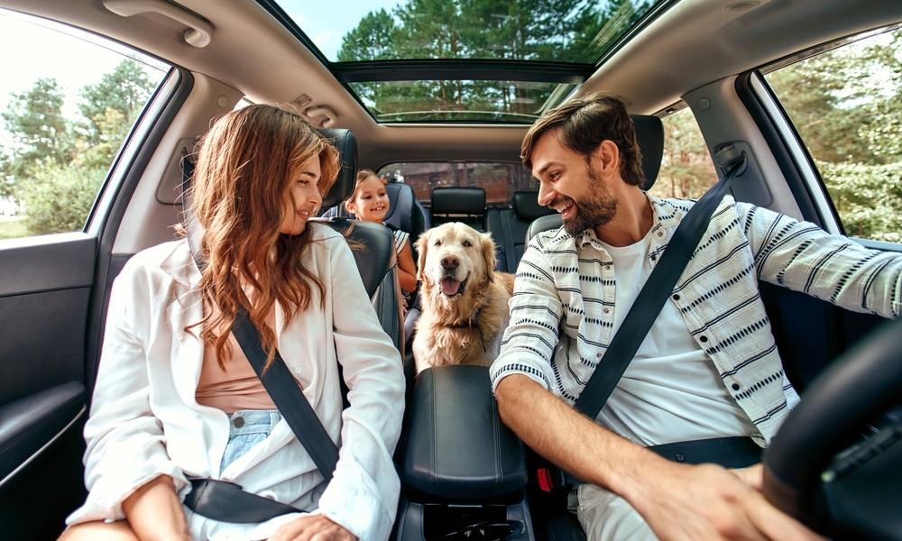 The Unseen Risks of Driving With Your Dog Unrestrained A Comprehensive Guide